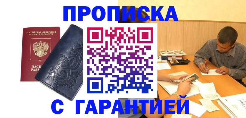 прописка поиск в Михайловке